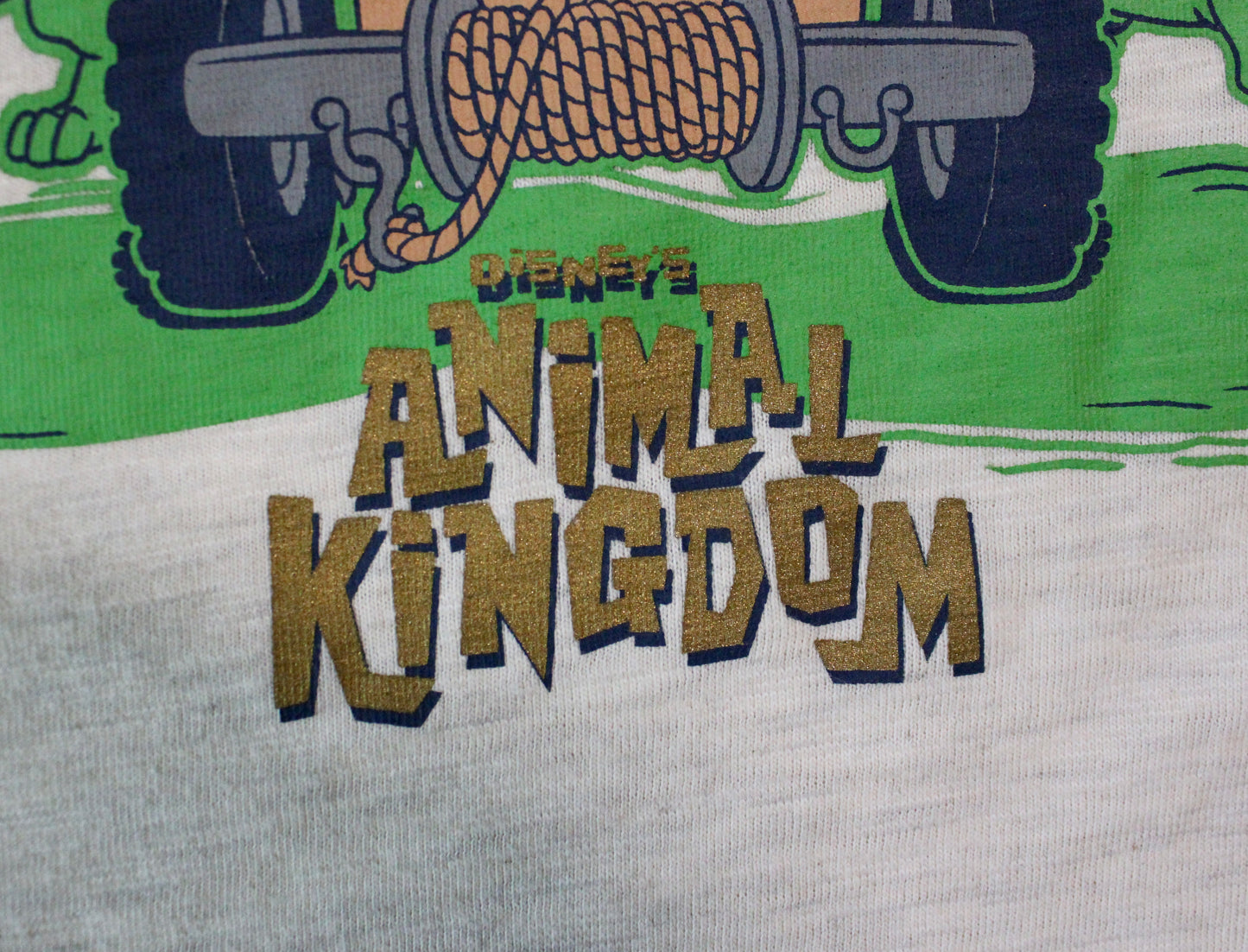 Animal Kingdom tee - youth M